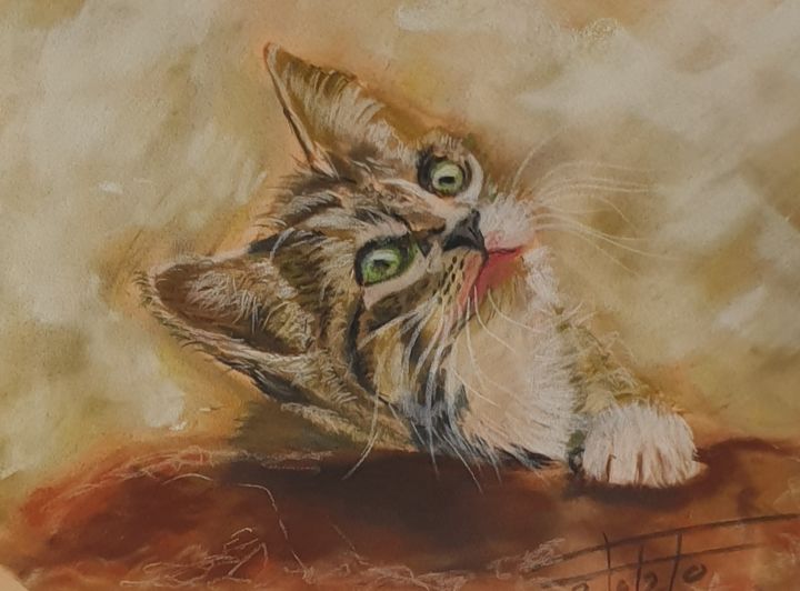 Peinture intitulée "Gazing kitten" par Adel Fahmi, Œuvre d'art originale, Pastel