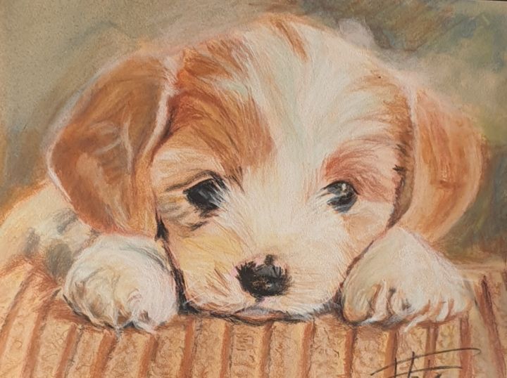 Картина под названием "Cute puppy 2" - Adel Fahmi, Подлинное произведение искусства, Пастель