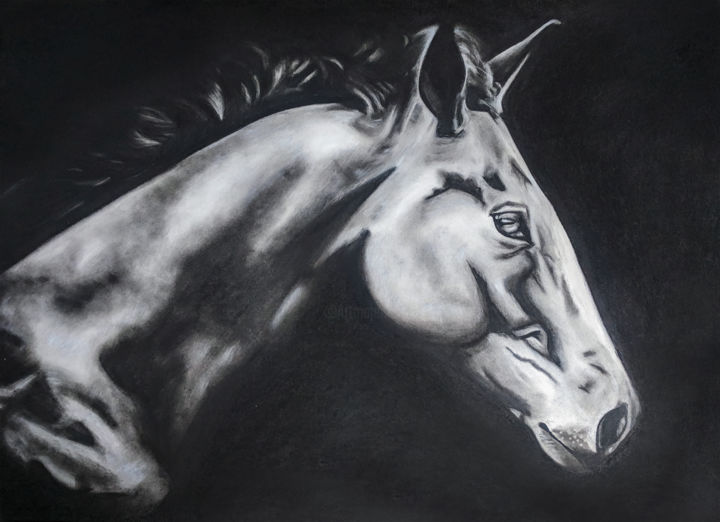 Drawing titled "Dark Horse" by Abhijeet Shrivastava, Original Artwork