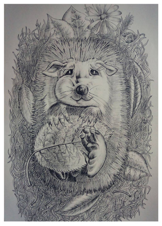 Zeichnungen mit dem Titel "Hedgehog" von Akj, Original-Kunstwerk, Bleistift