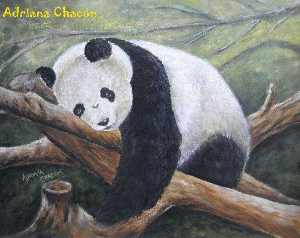 Obra Ursos Pandas em Giz Pastel tamanho A3 (30cmX42cm) - Nil Sylos Desenhos  Realistas