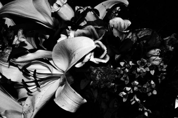 Fotografia intitolato "Flowers#2" da Henk Adriani, Opera d'arte originale, Fotografia digitale