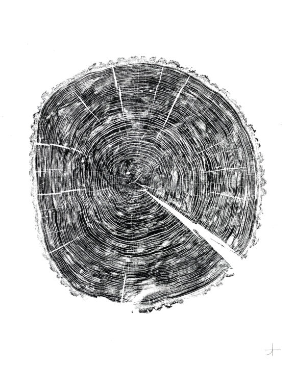Druckgrafik mit dem Titel "Chêne. 66 ans" von Adrien Thivolle (l'âge des arbres), Original-Kunstwerk, Tinte