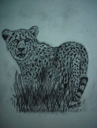 Disegno intitolato "Cheetah" da Adrish Sen, Opera d'arte originale