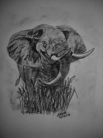 Dibujo titulada "African Elephant" por Adrish Sen, Obra de arte original