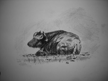 Dibujo titulada "Bison" por Adrish Sen, Obra de arte original