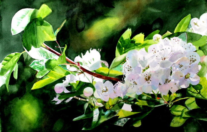 Pittura intitolato "Branche de pommier" da Adyne Gohy, Opera d'arte originale, Acquarello