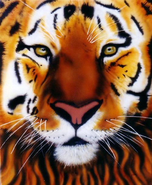 Peinture intitulée "Tigre" par Yves Corona, Œuvre d'art originale