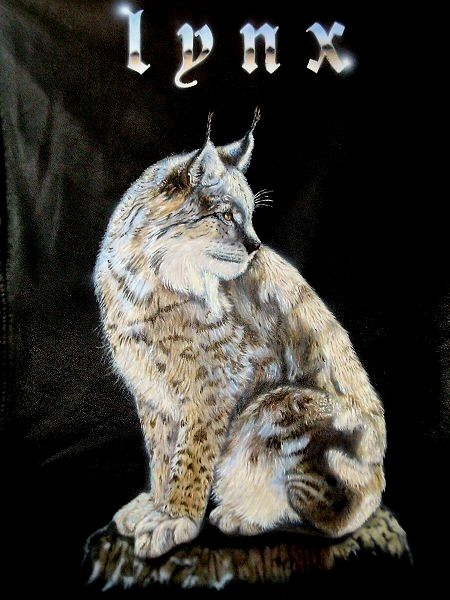 Peinture intitulée "Lynx" par Aerogra Phil, Œuvre d'art originale, Acrylique
