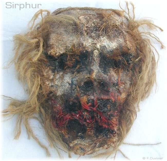 Sculpture intitulée "Sirphur" par Françoise Duvivier, Œuvre d'art originale
