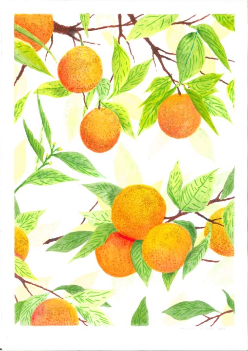Painting titled "Oranges, glitter" by Agnieszka Czyżycka, Original Artwork, Watercolor