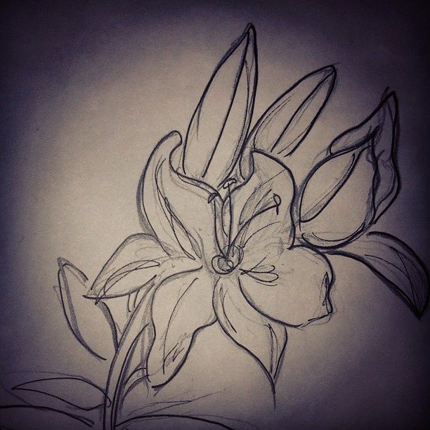 Drawing titled "Lilies" by Agent 66, Original Artwork