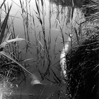 Photographie intitulée "Paysage" par Agnès Charbonnel, Œuvre d'art originale,