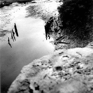 Photographie intitulée "Paysage" par Agnès Charbonnel, Œuvre d'art originale,