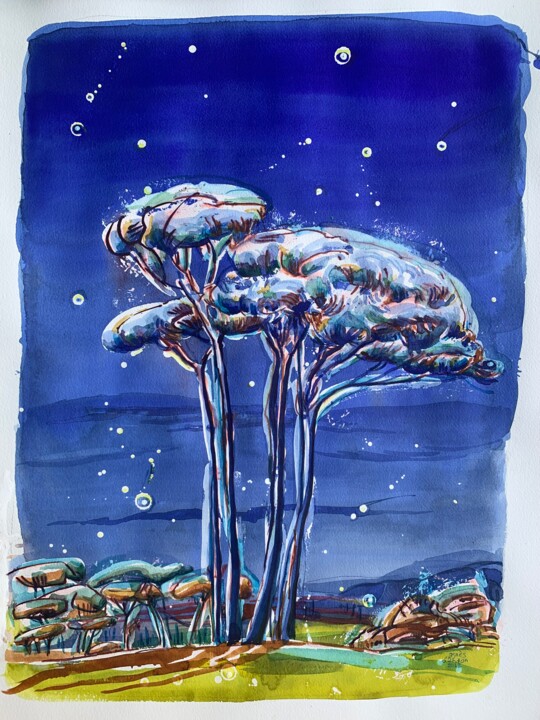 Dessin intitulée "pins nocturnes" par Agnes D'Andon, Œuvre d'art originale, Crayon