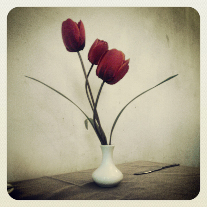 제목이 "Bouquet de tulipes"인 사진 Agnès M로, 원작
