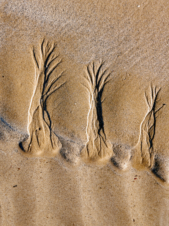 Fotografía titulada "Au fil de l'O N°06" por Agnes Pelletier, Obra de arte original, Fotografía no manipulada