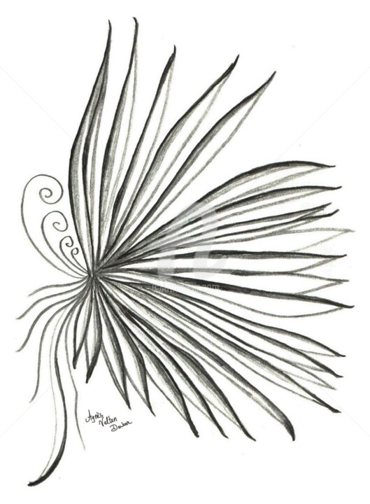 Drawing titled "Palmia" by Agnès Velten Deiber, Original Artwork, Pencil