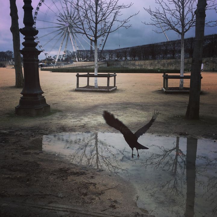 Fotografie getiteld "Jardin des Tuilerie…" door Agnès M, Origineel Kunstwerk