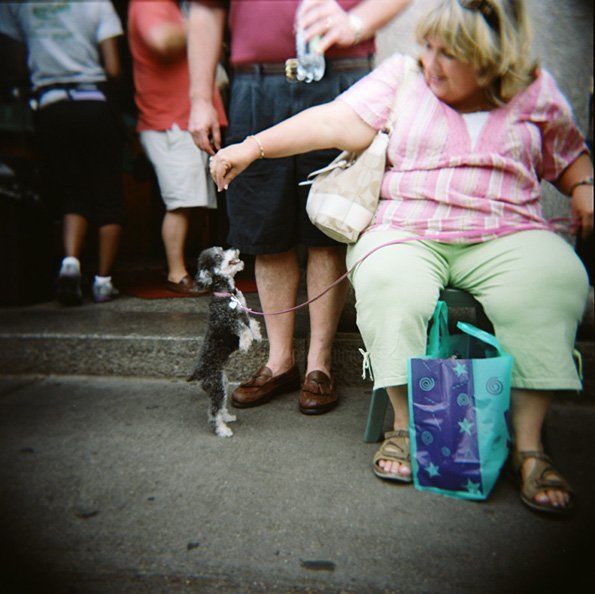 Photographie intitulée "La dame au chien, C…" par Agnès M, Œuvre d'art originale