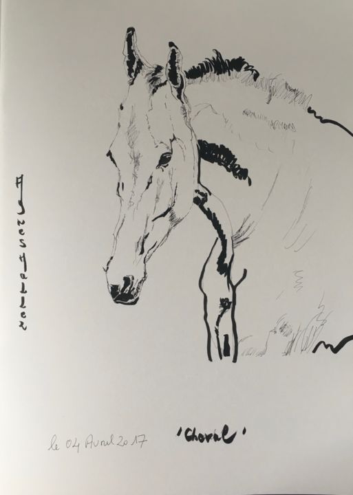 Dessin intitulée "Le Cheval" par Agnès M, Œuvre d'art originale, Stylo à bille