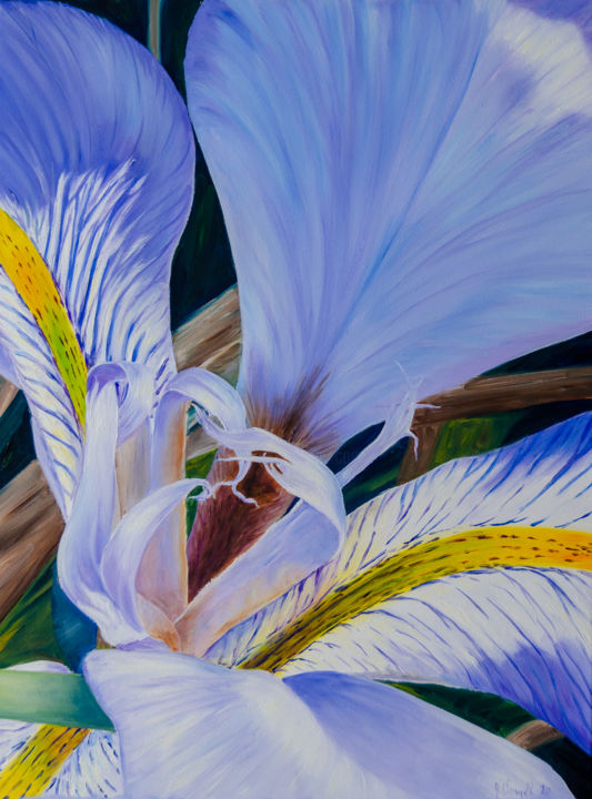 Painting titled "Iris sauvage" by Agnès Vangell, Original Artwork, Oil