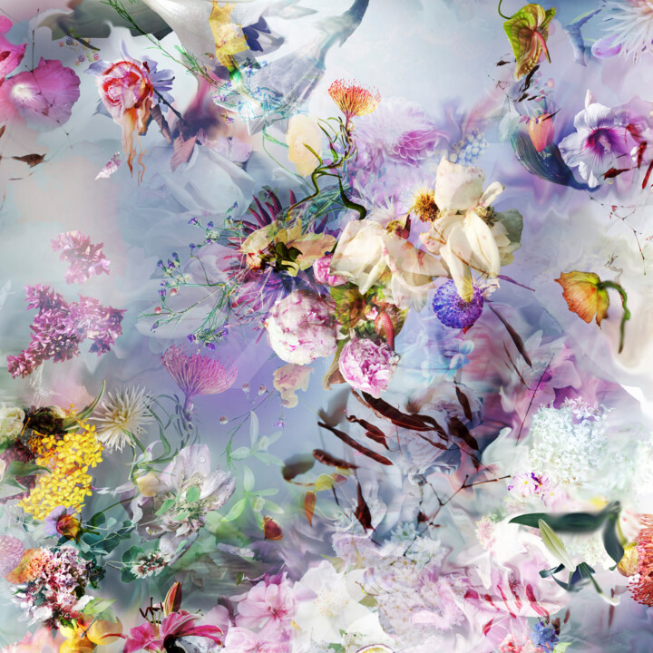 "Potpourri #10" başlıklı Fotoğraf Agnieszka Maria Zieba tarafından, Orijinal sanat, Fotoşoplu fotoğrafçılık