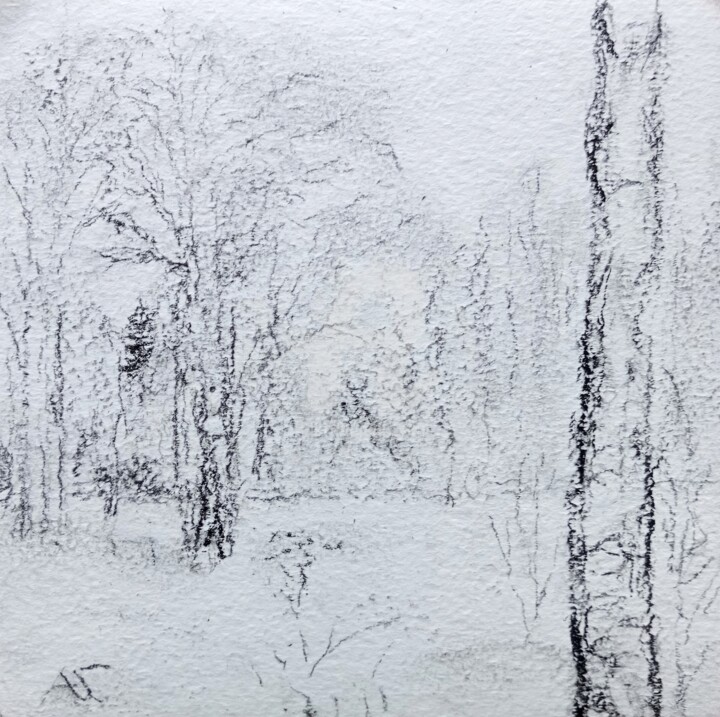 Рисунок под названием "Январь 1" - Андрей Гудков, Подлинное произведение искусства, Древесный уголь