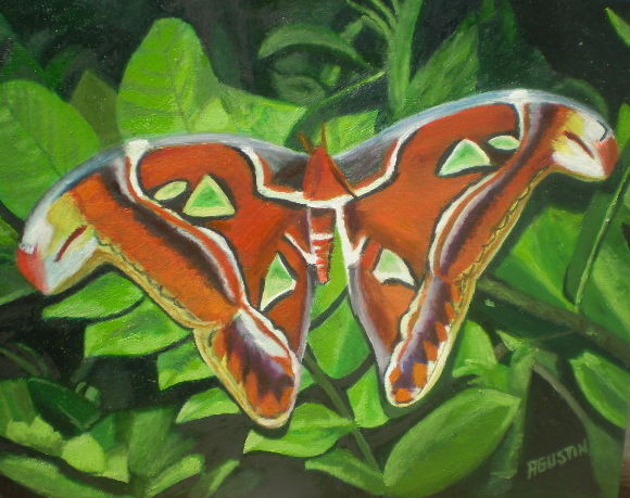 Pintura titulada "mariposa-en-las-hoj…" por Agustin, Obra de arte original, Oleo