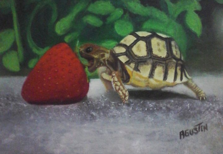 Pintura titulada "la-tortuga-y-la-fre…" por Agustin, Obra de arte original, Oleo