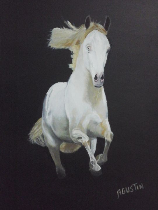 Pintura intitulada "caballoA10" por Agustin, Obras de arte originais, Óleo