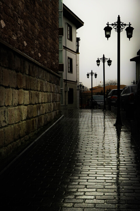 Photography titled "a rainy day" by Ahmet Reha Demir, Original Artwork, Non Manipulated Photography