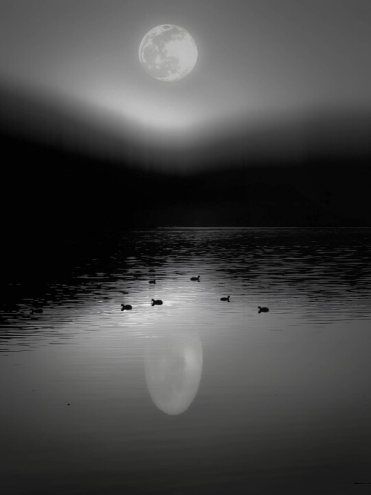 Photography titled "Moonlight shadow" by Ahmet Reha Demir, Original Artwork, Manipulated Photography