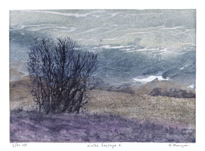 Prenten & gravures getiteld "Winter Bogscape 2" door Aidan Flanagan, Origineel Kunstwerk, Ets