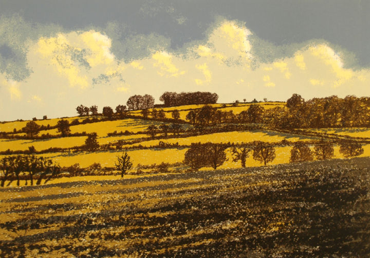 Gravures & estampes intitulée "Hill of Tara" par Aidan Flanagan, Œuvre d'art originale, Sérigraphie
