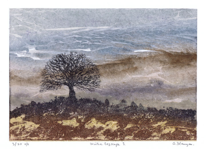 Printmaking titled "Winter Bogscape 3" by Aidan Flanagan, Original Artwork, Etching