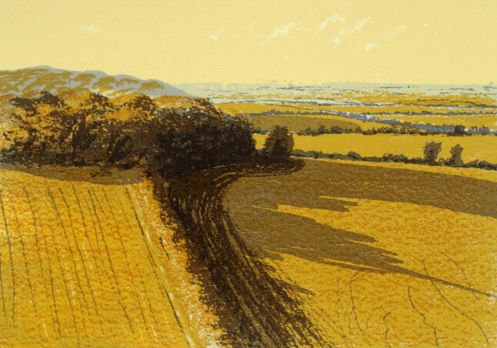 Prenten & gravures getiteld "Fields of Gold, Dun…" door Aidan Flanagan, Origineel Kunstwerk, Zeefdruk