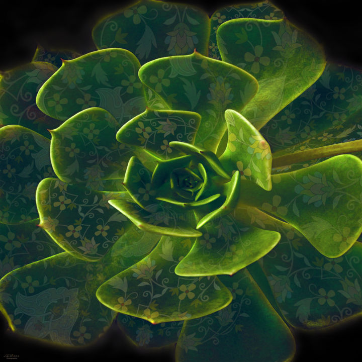 Digital Arts titled "Inspiration" by Mehran Akhzari, Original Art, Photo Montage