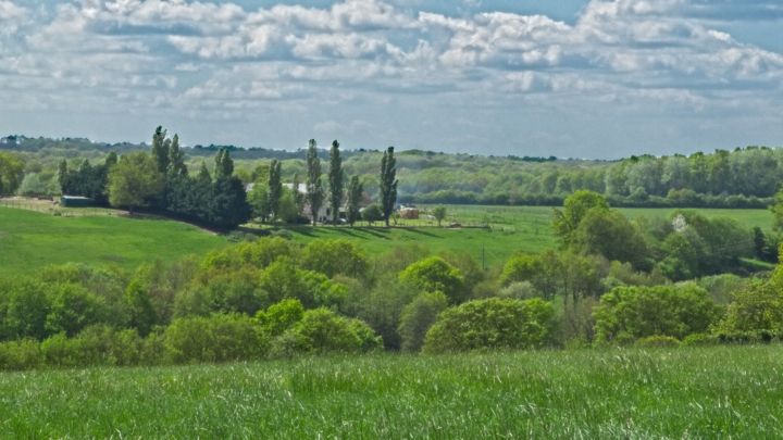 Fotografie getiteld "Champs en Touraine…" door Michel Akli, Origineel Kunstwerk, Niet gemanipuleerde fotografie