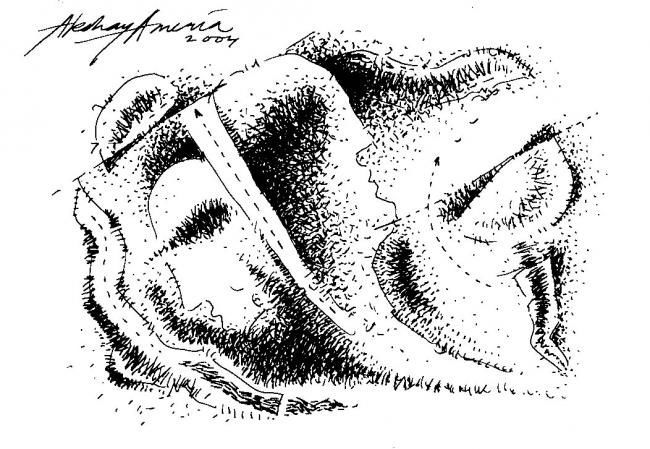 Disegno intitolato "Drawing 014" da Akshay Ameria, Opera d'arte originale