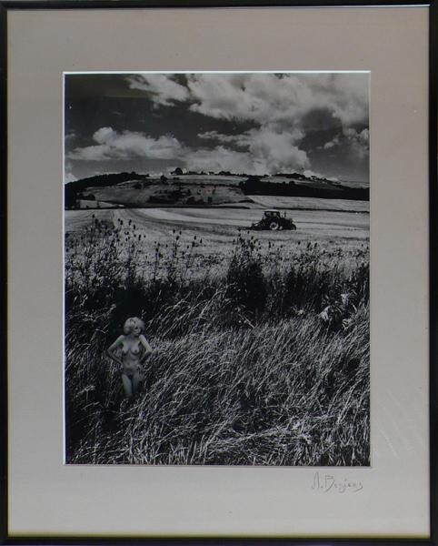 Photography titled "Au travers les cham…" by Alain Beziers, Original Artwork, Analog photography