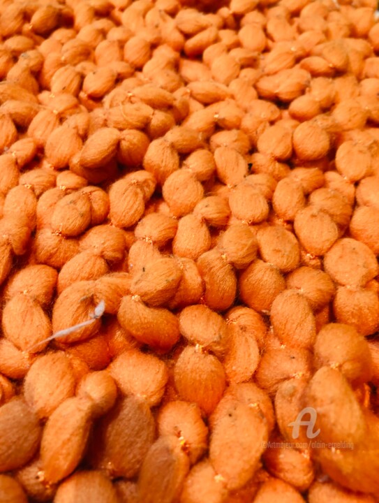 Photographie intitulée "Haricots oranges" par Alain Erpelding, Œuvre d'art originale, Photographie numérique