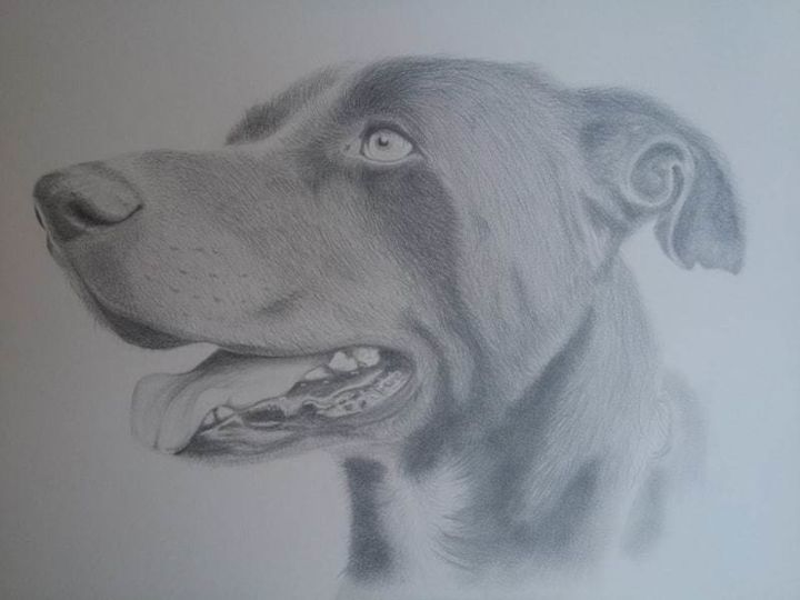 Drawing titled "Oliver" by Têtenbois, Original Artwork, Graphite