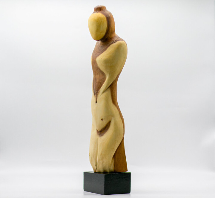 Sculpture titled "FEMME ABSTRAITE ASI…" by Alain Polydor, Original Artwork, Wood