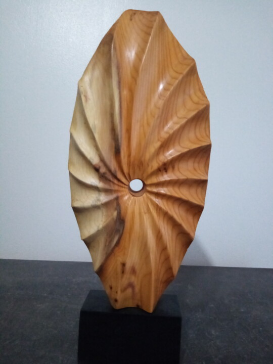Sculpture titled "RELIEF COQUILLE" by Alain Polydor, Original Artwork, Wood