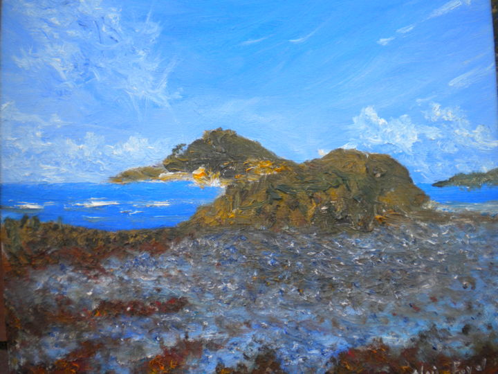 Painting titled "algues,rochers, ile…" by Alain Fayel, Original Artwork, Oil