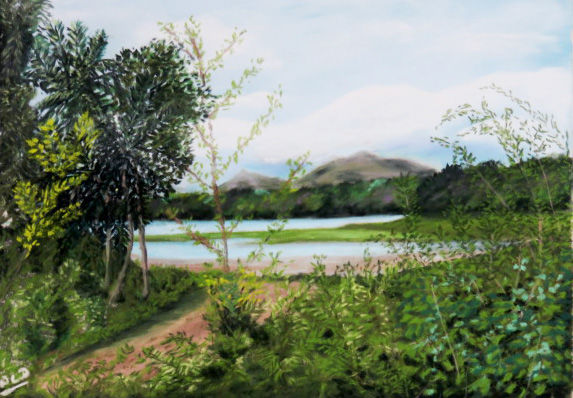 绘画 标题为“nature-kerala Inde…” 由Ald, 原创艺术品, 粉彩