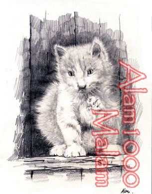 Dibujo titulada "cat-kucing" por Alam Muammar, Obra de arte original