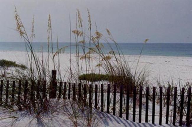 Photography titled "Emerald Coast" by Alan Casey, Original Artwork