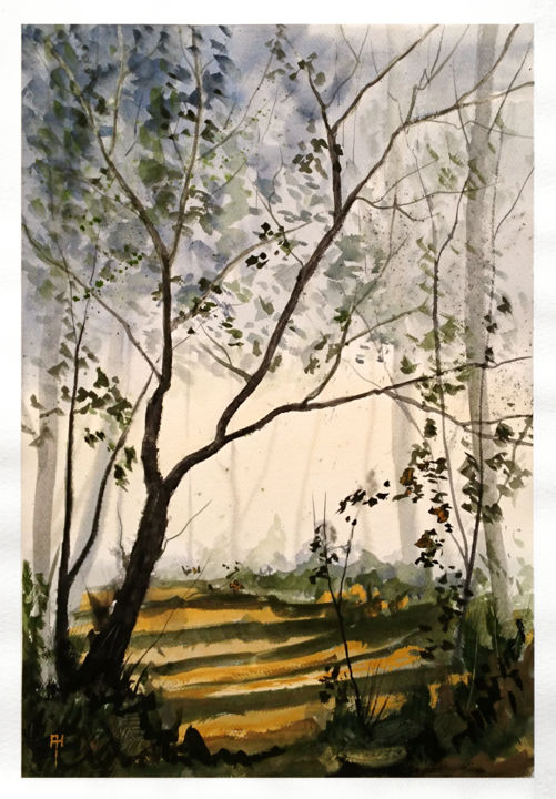 Malerei mit dem Titel "Woodland shadows" von Alan Harris, Original-Kunstwerk, Aquarell